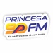 Princesa 90 FM Logo