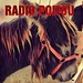 Radio Poitou Logo