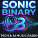 Sonic Binary Logo