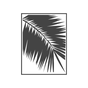 Palmera Blanca Radio