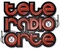 Tele Radio Orte - Orte FM 98.9 Logo