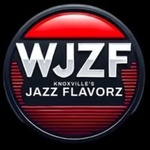 WJZF Smooth Jazz 91.5fm - WJZF-LP Logo