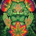 Stoner Radio 420 Logo