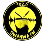 Dwanwa FM 102.9 Logo