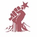 Lyfe Show Radio FM Logo