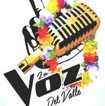 La Voz del Valle Logo