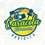Radio Caracola FM Logo