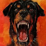 Hounds of Hell Radio Logo