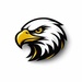 The Eagle 88.1 FM - WNBV Logo