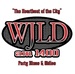 104.1 FM WJLD - WJLD Logo
