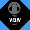 VIBIN RADIO Logo