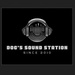 Doc's Sound Station Logo