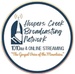 Hoopers Creek Broadcasting Network - W297CI Logo