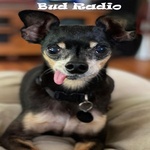 Bud Radio Logo