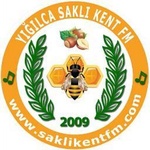 Saklikent FM Logo
