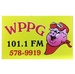 Power Pig 101.1 FM - WPPG Logo