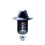Radio DJS Logo