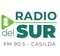 Radio Del Sur Casilda Logo
