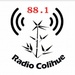 Radio Colihue 88.1 Logo