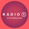 Rádio T Catanduvas Logo