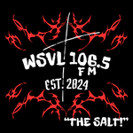 the SALT! - WSVL-LP Logo