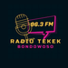 Tekek FM Bondowoso Logo
