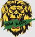 ViiLD Country Logo