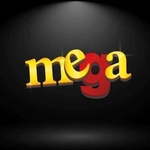 Mega 103.3 FM Logo