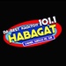 Habagat Radio 101.1 FM Logo