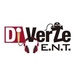 Di-VerZe HitZ Logo