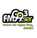 FM Ser 102.1 Logo