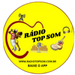 Rádio Top Som Logo