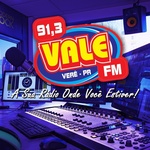Vale FM 91.3 Logo