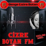 Cizre Botan FM Logo