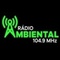 Rádio Ambiental 104.9 FM Logo