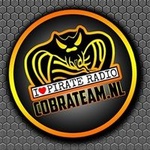 Cobra Team Radio Logo