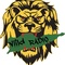ViiLD SOCA Logo