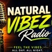 Natural Vibez Radio Logo