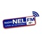 Radio Nel FM Logo
