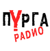 Радио Пурга Logo