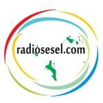 Radiosesel