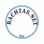 Bachatas.Net Logo