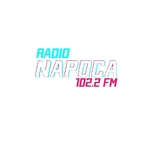 Napoca FM Logo