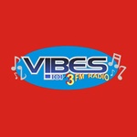 Vibes 101.3 FM Logo