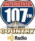 Interstate 107 - WVSZ Logo