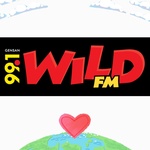 99.1 Wild FM - DXRT Logo