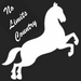 No Limits Country Logo