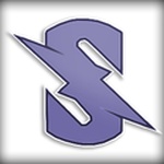 Teamstoned Logo