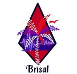 Brisal y Mas Radio Online Logo