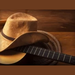 Sertanejo Logo